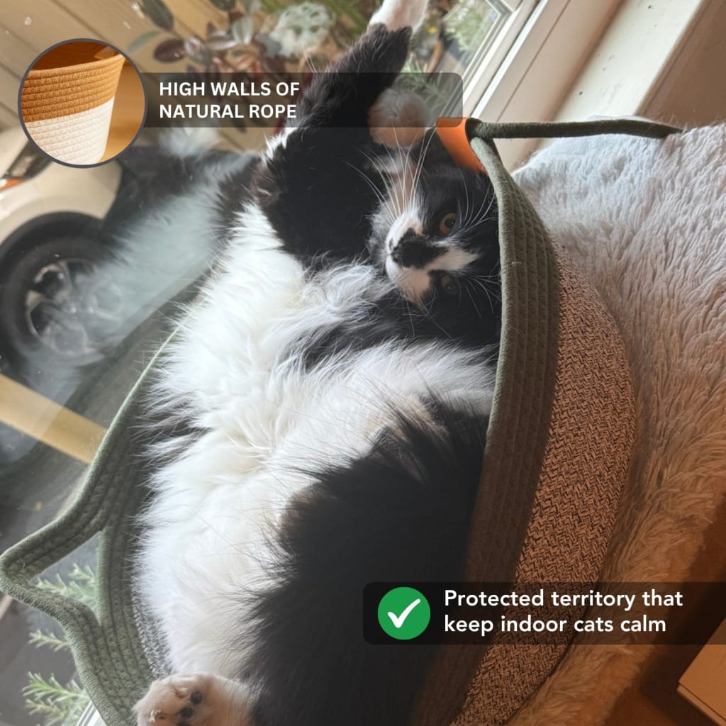 Instinct Basket | Meet the first research-backed natural territory for indoor cats