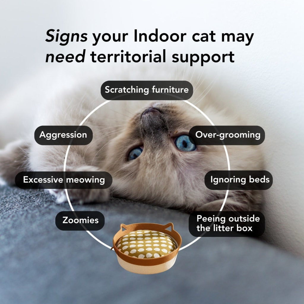 Instinct Basket | Meet the first research-backed natural territory for indoor cats
