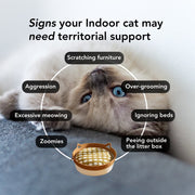 Instinct Basket | Meet the first research-backed natural territory for indoor cats