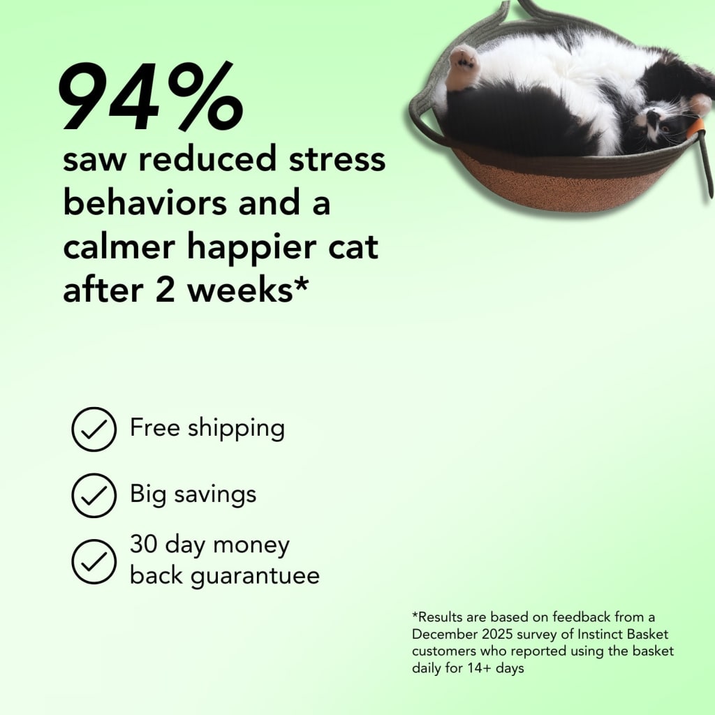 Instinct Basket | Meet the first research-backed natural territory for indoor cats