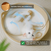 Instinct Basket | Meet the first research-backed natural territory for indoor cats