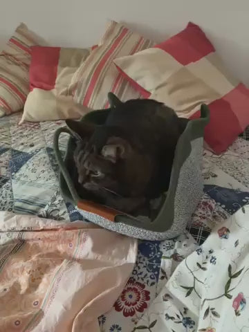 Customer video review 2 - Instinct Basket