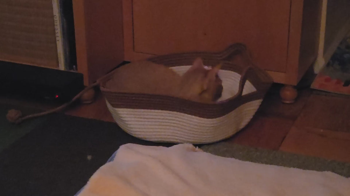 Customer video review 4 - Instinct Basket